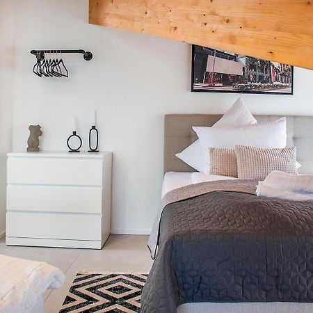 Inzlingen ※Luxus Loft Mit Boxspringbetten Und Heimkino ※ מראה חיצוני תמונה